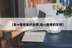 【鲁w是哪里的车牌,鲁vj是哪的车牌】