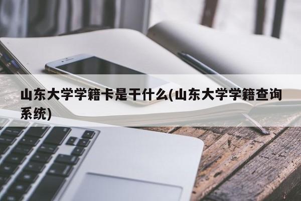 山东大学学籍卡是干什么(山东大学学籍查询系统)